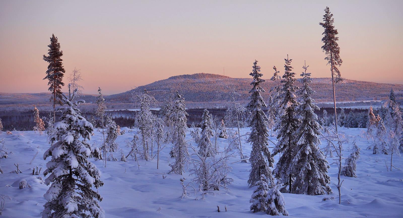 tdalen vy